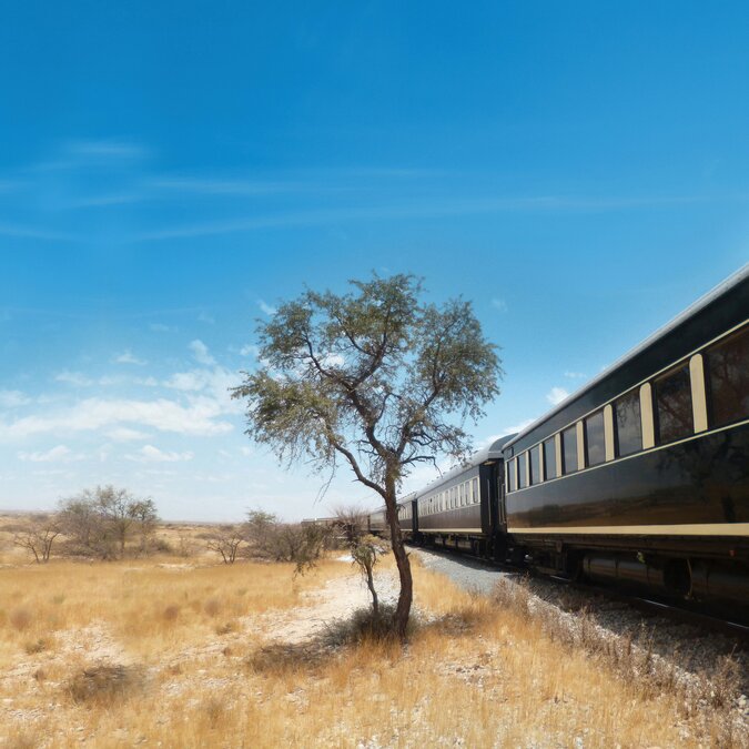 African Explorer | © Julia Nieratschker African Explorer | © Julia Nieratschker