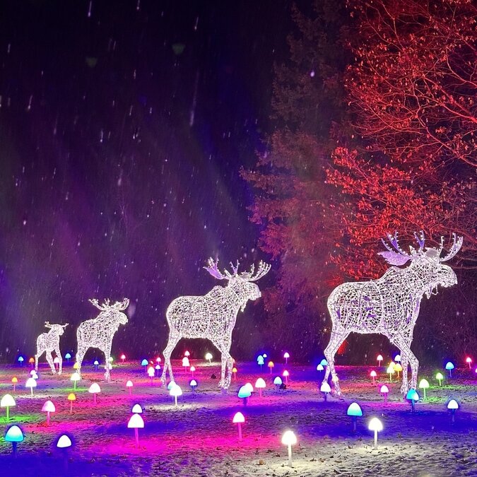 Illuminated deer sculptures stand in a snowy park landscape at night. Colourful mushroom-shaped light installations and brightly lit trees create a magical winter atmosphere. | © Graz Tourismus, Susanne Hoeller