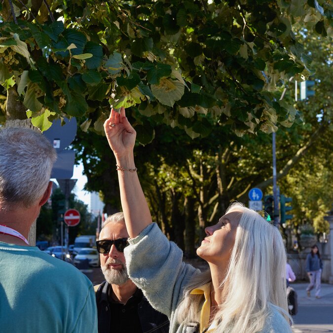 People under a tree on a city tour in Düsseldorf.  | © Düsseldorf Tourismus GmbH, Foto: Sabrina Weniger