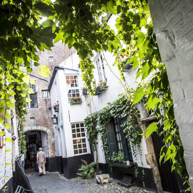 Ruelle historique étroite dans le Vlaeykensgang à Anvers, avec des pavés et des plantes grimpantes vertes. | © Sigrid Spinnox – Vlaeykensgang Antwerpen-Zentrum