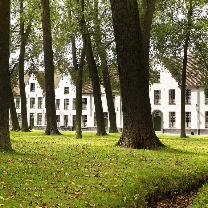 Green park lawn with trees in front of white historic houses in the Beguinage in Bruges. | © Milo Profi – Bruges, Beguinage