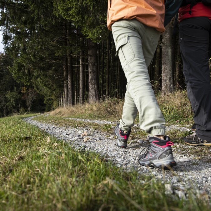Schöne Wanderungen rund um Linz am Fluss oder im Wald | © Linz Tourismus