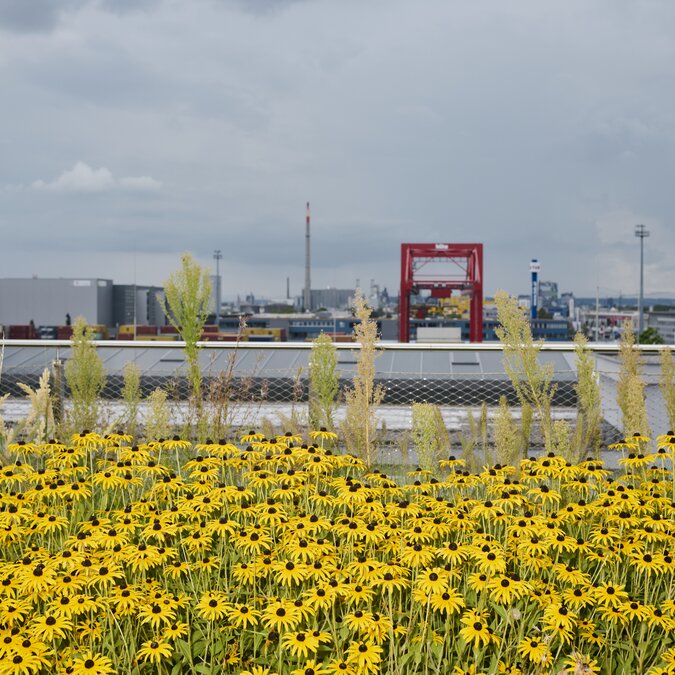 railtour Städtereise Linz | © Linz Tourismus_MartinStoebich
