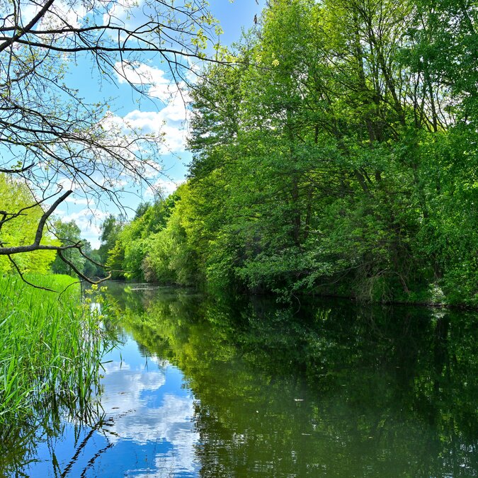 Summer Lake Scenery in Potsdam | © shutterstock_2630040029