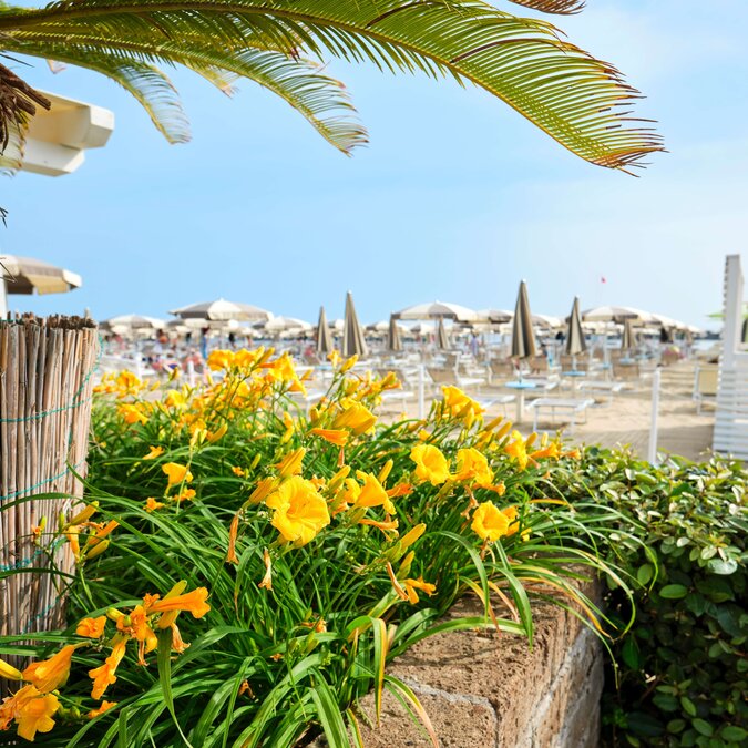 Beach adriatic sea | © Shutterstock 2172110319