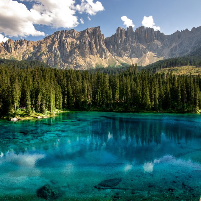 Tiefblauer See in Südtirol vor einem bewaldeten Ufer und den Dolomiten im Hintergrund | © shutterstock / 2443479095