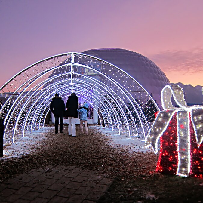 Couple walking in an illuminated arch next to illuminated Christmas decorations | © shutterstock / 772055065